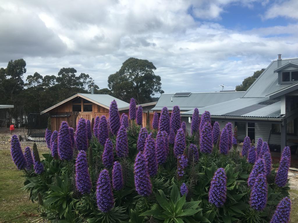 Bruny Island Lodge South Bruny Eksteriør bilde
